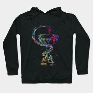 Caduceus Hoodie